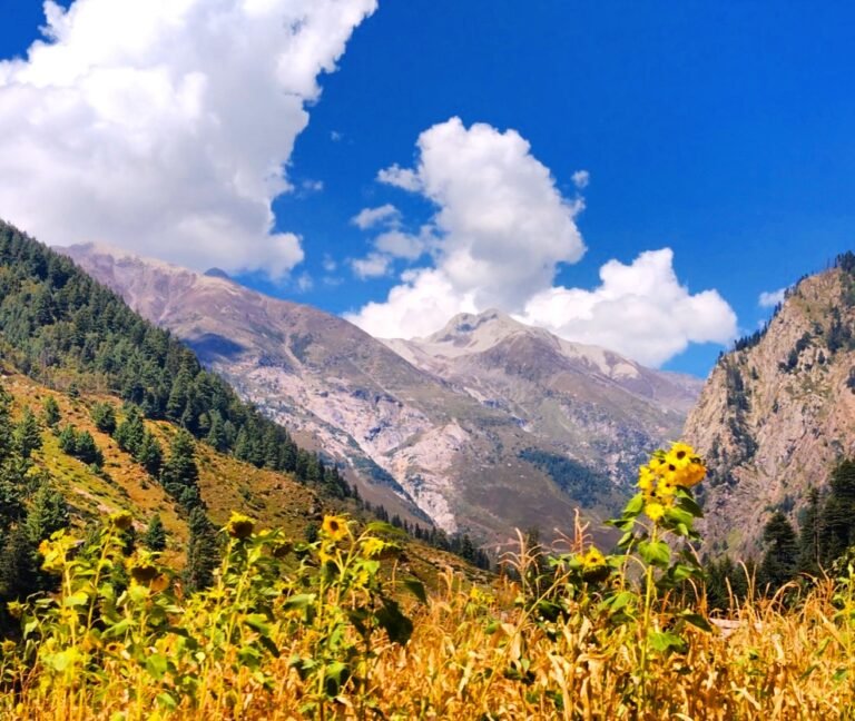 azad-kashmir-karakorumguy