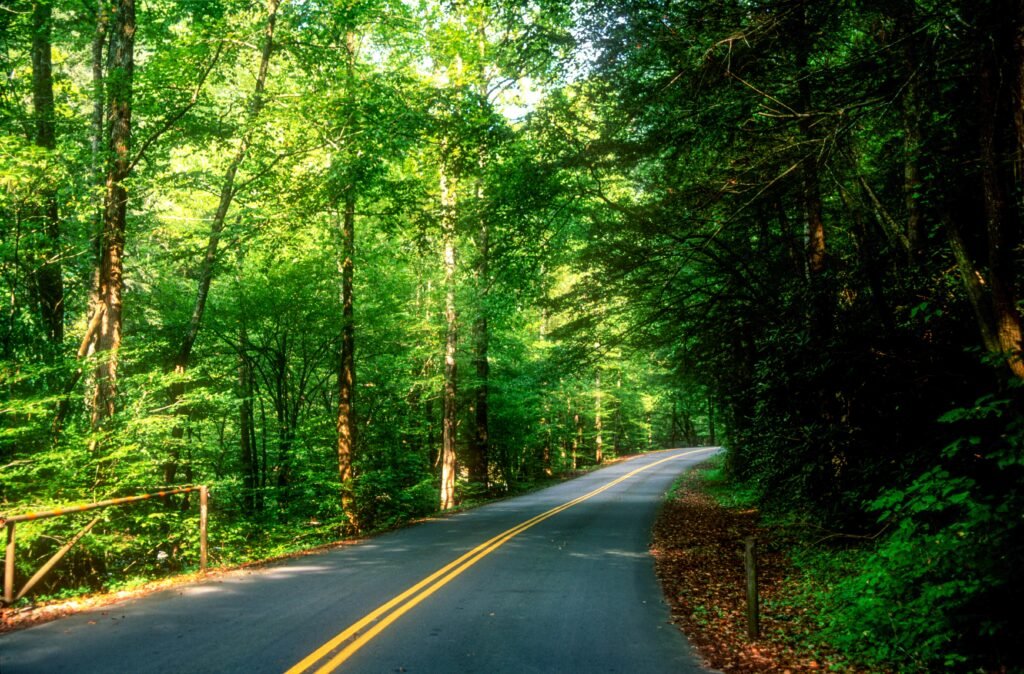 Smoky Mountains Scenic Drives