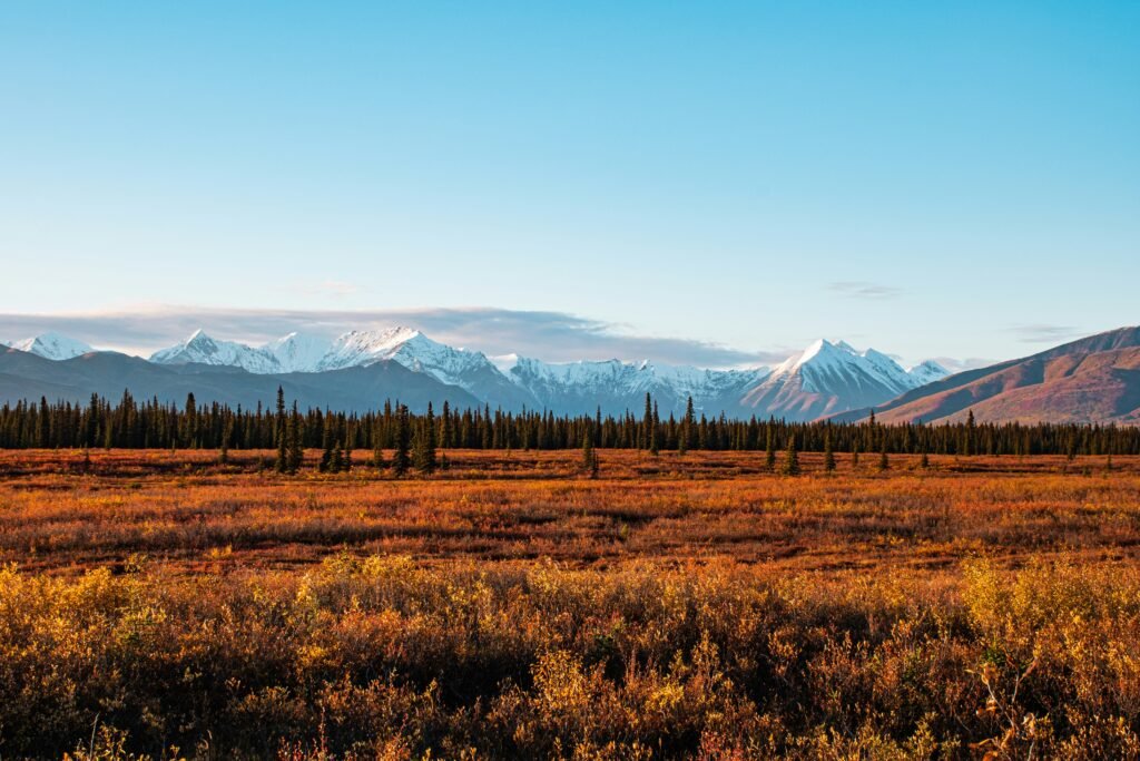 Denali National Park