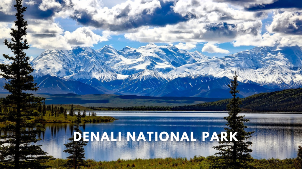 Denali National Park